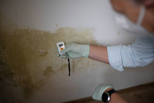 Crawl Space Mold Removal in West Baraboo, WI