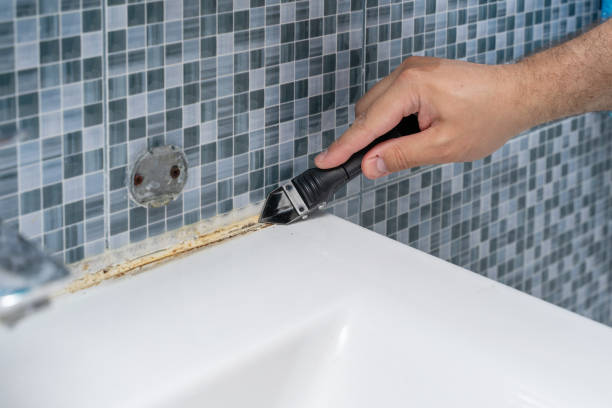 Mold Removal Process in West Baraboo, WI