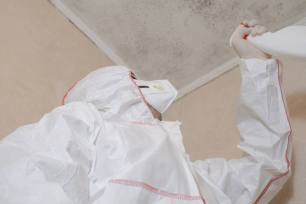 Best Certified Mold Removal  in West Baraboo, WI